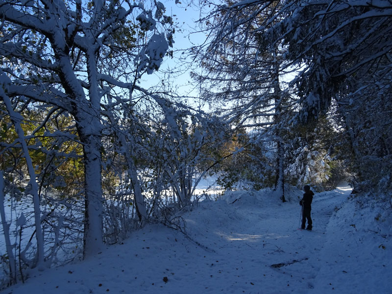 prime escursioni sulla neve....autunno  2019